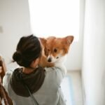 What Are Some Tips to Help Your Lonely Dog?