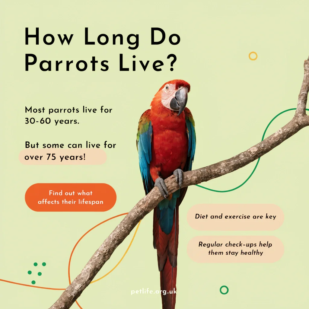 How Long Do Parrots Live